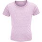 Sol's Crusader Kids rose_chine