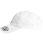 flexfit Stripe Dad Hat white/fire_red/green