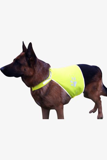 Image produit Gilet de signalisation pour chien