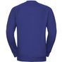 Russell Sweatshirt Raglan bright_royal